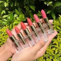 ราคา ของแท้ พร้อมส่ง I COCO PINK ON023 ลิปสติกเนื้อแมทโทนส้มอิฐ ลิปสติกโทนพีช ส้มอมชมพู ลิปสติกโทนชมพู ลิปเซตโทนส้ม (1368350730)