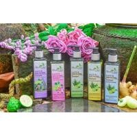 ราคา แชมพูมะกรูดผสมสมุนไพร Miracles Herb ผลิตภัณฑ์สมุนไพรธรรมชาติเพื่อสุขภาพและความงาม ลดรังแค (907842751)