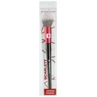 ราคา แปรงปัดแก้มทรงพุ่มกลมมน Armando Caruso AC2403 (1357994808)