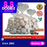 ราคา ลูกแป้งข้าวหมากหวาน สาโท หวานสูตรอีสาน เชื้อแรง 1ลูกต่อข้าวเหนียว 2กิโล แพ็ค12ลูก พร้อมสููตร รับประกันหวานโดยไม่ต้องเติมน้ำตาล เก็บได้นาน (988708901)