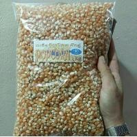 ราคา 1 Kg Popcorn Butterfly เมล็ดข้าวโพดทำป๊อปคอร์นพันธุ์ผีเสื้อ (1213744522)