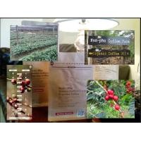 ราคา กาแฟสด เมล็ดกาแฟอาราบิก้าแท้ 100 เปอร์เซ็นต์คั่วไม่บด ขนาด 250 g ปราศจากสารเคมี มีกระบวนการผลิตที่สะอาด Wet Process และต้นกล้ากาแฟอาราบิก้าสายพันธุ์ดี หากต้องการให้บดกรุณาระบุ (359452664)