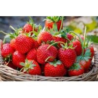 ราคา ผงกลิ่นสตอเบอรี่ผสมอาหารเข้มข้น All MINE ขนาด 100 g (650916525)