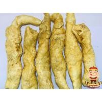 ราคา กระเพาะปลาทอดของแท้ 100 ชนิดหลอดเข้มใหญ่ ขนาด1000 กรัม FISH MAW (768556872)