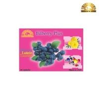 ราคา Dr Lee Dr Albert Bilberry Plus 60 แคปซูล (374396789)