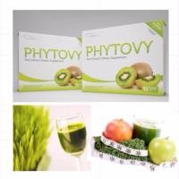 ราคา PHYTOVY ไฟโตวี่ ดีท็อกซ์ กลิ่นกีวี่ 2 กล่อง 1 กล่อง 15ซอง (107807672)
