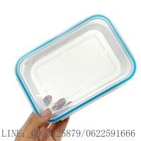 ราคา Dragon Ware SN กระปุกฝาล็อก Snap Lock กระปุกใส่อาหาร No 301 1ช่อง ความจุ 850ml No 301 2 2ช่อง ความจุ 820ml (1485312466)