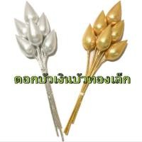 ราคา ดอกบัวเงิน ดอกบัวทอง (1110794537)