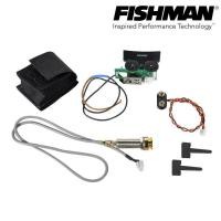 ราคา Fishman Sonitone ปิ๊กอัพกีตาร์โปร่ง แบบติดตั้งในช่องเสียง รุ่น OEM SON GT4 Sonitone Onboard Preamp Pickup System (458814372)