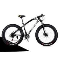 ราคา จักรยานล้อโต ขนาด 20 26 นิ้ว x 4 0 MOUNTAIN BIKE รุ่น GTWING ชุดเกียร์ 7 Sp ดิสเบรคหน้าหลัง 10144 (11000117829)