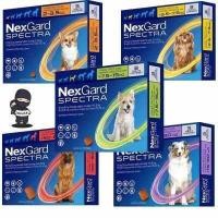 ราคา Spot Nexgard Spectra Dog สำหรับสุนัข 1กล่อง 3 เม็ด เม็ดเดียว ครบ จบ เห็บหมัด พยาธิ (15730539722)