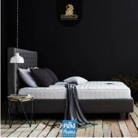 ราคา Dunlopillo ที่นอนสปริง รุ่น Rover ขนาด 3 5 6 ฟุต แถมฟรีหมอนหนุน 1 2 ใบ (14748141041)