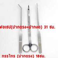 ฟอเซปสเเตนเลส ปลายตรง ปลายงอ เช็คราคาล่าสุด ราคาถูก ราคาปัจจุบัน