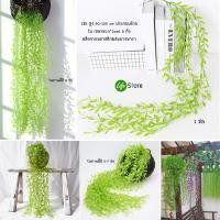 ราคา รวมต้นไม้ใบไม้ประดับช่อแขวน รุ่นยอดนิยม หลากสไตล์หลายชนิด (16293956508)