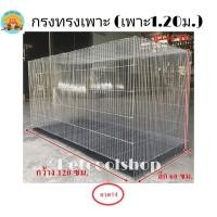 ราคา กรงเพาะไซค์บิ๊กเบิ้ม กรงเพาะนก เพาะกระรอก เพาะกระต่าย เพาะชูก้า เพาะ1 20 กรงนก กรงไก่ กรงกระรอก ราคาจากโรงงานครับ (17414961602)
