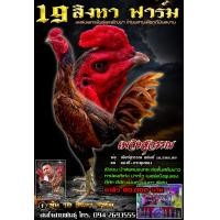 ราคา ไข่ไก่ชน ลูกเยียร์สุวรรณ แชมป์ 16 ล้าน 5 แสน รับประกันเชื้อ ส่งด่วน (18204152049)