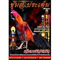 ราคา คลิ๊ปพ่อพันธุ์ ไข่ไก่ชนพม่าม้าล่อรำวงเมืองเหนือเจ้าเทาเมืองเหนือ (9684380193)