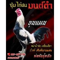 ราคา ดูคลิป จำหน่ายไข่ไก่ชน พ่อพันธุ์เกรด VIP ไข่ไก่ชนพม่าเเข้งคม สายเลือดดี เจ้าขุนแผน (16218398278)