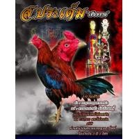 ราคา คลิ๊ปพ่อพันธุ์ ไข่ไก่ชนพม่าม้าล่อรำวงเมืองเหนือเจ้าแสน (9696171754)