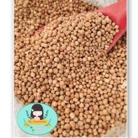 ราคา สาคูต้นแท้ 100 ออร์แกนิค ของดีจากธรรมชาติจากจังหวัดพัทลุง มีไฟเบอร์สูง มีประโยชน์ต่อร่างกาย อร่อยละมุน (15451695802)