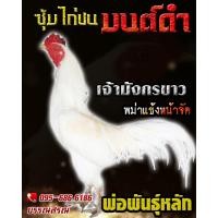 ราคา ดูคลิป จำหน่ายไข่ไก่ชน พ่อพันธุ์เกรด VIP สายเลือดดี ไข่ไก่ชนพม่าเเข้งคม เจ้ามังกรขาว (16219037752)