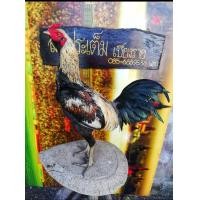 ราคา คลิ๊ปพ่อพันธุ์ ไข่ไก่ชนพม่าม้าล่อรำวงเมืองเหนือเจ้าสาแสน (17325242738)