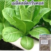 ราคา ผักสลัดกรีนคอส 100 เมล็ด 10 เเถม 1คละได้ (4153224179)