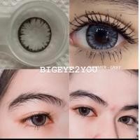 ราคา icyx Thap chimmer cutie gray บิ๊กอายส์ตัดขอบลายขายดี ฮิตTikTok (13146915629)