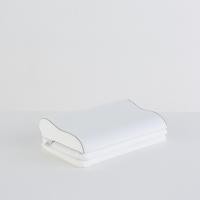 ราคา หมอนหนุน MR BIG รุ่น Orthocurve (3926148094)