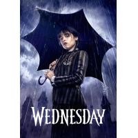 ราคา WEDNESDAY 2022 เว้นส์เดย์ Season 1 DVD หนังใหม่ มาสเตอร์ พากย์ไทย 2 แผ่นจบ (17446537050)
