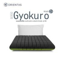 ราคา Orientas หมอนเต๋าสลบเหมือด Uji Black หมอนเมมโมรี่โฟม ชาเขียว Gyokuro Pillow ช่วยผ่อนคลาย หลับสนิท หลับลึก หมอนเพื่อสุขภาพ หมอนนอนสบาย (16248806690)