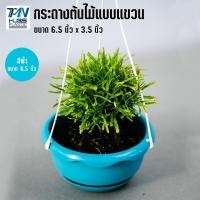 ราคา กระถางต้นไม้พลาสติกแบบแขวน พร้อมจานรอง มี 3 สี ขนาด 6 5 นิ้ว ราคาโรงงาน กระถาง กระถางต้นไม้ กระถางพลาสติก กระถางแบบแขวน TMN Hubs (3988762479)
