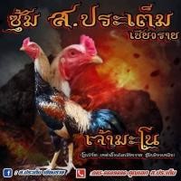 ราคา คลิ๊ปพ่อพันธุ์ ไข่ไก่ชนพม่าม้าล่อรำวงเมืองเหนือเจ้ามะโน (10120277640)