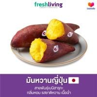 ราคา มันหวานญี่ปุ่น สายพันธุ์เบนิฮารุกะ Beniharuka ครบไซส์ กลิ่นหอม รสชาติหวาน เนื่อฉ่ำ Shitori (15966027636)