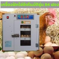 ราคา เครื่องฟักไข่อัตโนมัติ 84 ฟอง ตู้ฟักไข่ขนาดเล็ก ระบบอัตโนมัติ Incubator (9752470204)