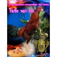 ราคา ไข่เชื้อ 4 ใบ 129 บาทเจ้าเคราทองแดงพม่าเลือดสูงจอมเตะแข้งหน้า หน้าหงอน ถี่แม่นคมพิเศษ รอย 2 5 ขนดก สร้อยระย้า ยาวสวย สีสันสวยงาม สนับปีกหนาสองชั้น ตามฉบับไก่พม่า 100ด (15730983044)