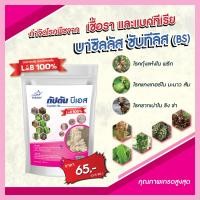 ราคา บาซิลลัส ซับทิลิส กัปตัน BS กำจัดเชื้อรา แบคทีเรีย 100กรัม (9790266639)