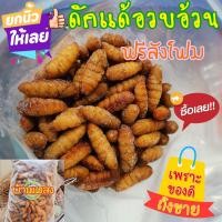 ราคา ดักแด้หนอนไหม ดักแด้สดแช่แข็ง 1 kg ดักแด้หนอนไหมเหลืองสวยตัวอ้วน กล่องโฟมให้ด้วยฟรี (17310558013)
