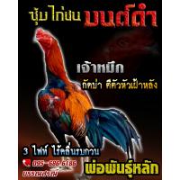 ราคา ดูคลิป จำหน่ายไข่ไก่ชน พ่อพันธุ์เกรด VIP สายเลือดดี ไข่ไก่ชนก๋อยทุบหลัง เจ้าหมึก (17438340852)
