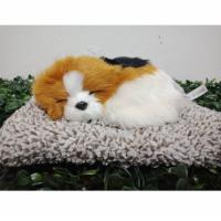 ราคา ส่งฟรี ตุ๊กตาดับกลิ่น ตุ๊กตาหมา ตุ๊กตาดูดกลิ่นอับ ตุ๊กตาน้องหมาดูดกลิ่นในรถ ดับกลิ่น ถุงปรับอากาศ ตุ๊กตาน้องหมา ตุ๊กตาดูดกลิ่น (10398768514)