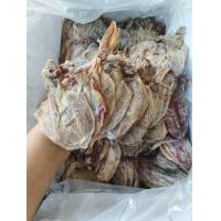 ราคา หมึกผ่าA6น้ำหนักครึ่งกิโลเกรดเอสวยๆ (17795148547)