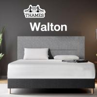 ราคา Thames ที่นอนสปริงไร้ขอบ Walton แบบนุ่มสบาย ผ้ากันไรฝุ่น หนา 8 นิ้ว ประกัน8ปี ที่นอน ที่นอนสปริง spring mattress สุขภาพ (12939949584)