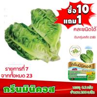 ราคา ซื้อ10แถม1 ฟรีคู่มือ เมล็ดพันธุ์ กรีนมินิคอส GREEN MINICOS 0 2 กรัม 200 เมล็ด เบบี้คอส ทำมะชาดฟาร์ม ผักสลัด เมล็ดพันธุ์สลัด เมล็ดสลัด (2581274118)