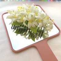 ราคา หวีสับดอกปีบ (4576710792)