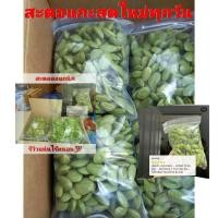 ราคา ด่วนนนน โปรวันเดียว สะตอแกะสดใหม่ทุกวัน สะตอข้าว แกะเเล้วเรียบร้อย ขนาด 500 กรัม เม็ดสวย (11895923383)