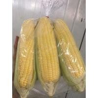 ราคา ข้าวโพดเหลืองหวาน ฝักข้าวโพด หัวข้าวโพด (16820140779)