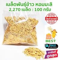 ราคา เมล็ดข้าว สำหรับเพาะปลูก งอกชัวร์ ข้าวนาโยน ขายเมล็ดพันธ์ข้าว ข้าวหอมมะลิ ปลูกข้าว (10526416598)