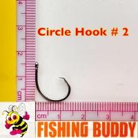 ราคา CIRCLE HOOK เบ็ดกล่อง ตัวเบ็ดแชมเปี้ยน CHAMPION CIRCLE HOOK 10561 แท้ 100 (18339359672)