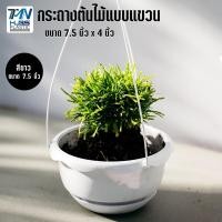 ราคา กระถางต้นไม้พลาสติกแบบแขวน พร้อมจานรอง มี 3 สี ขนาด 7 5 นิ้ว ราคาถูก ราคาโรงงาน กระถางต้นไม้ กระถางพลาสติก กระถางแบบแขวน TMN Hubs (9213097884)