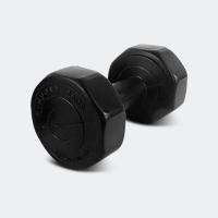 ราคา GSPORTS DUMBBELL ดัมเบลน้ำหนัก 1 5 kg (17448286065)
